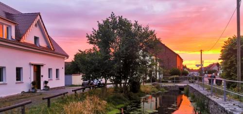a canal in a town with houses and a sunset at ALTE SCHULE WITTENBERG, 3 Ferienwohnungen für bis zu 12 Personen, an der Elbe, mit Garten in Lutherstadt Wittenberg