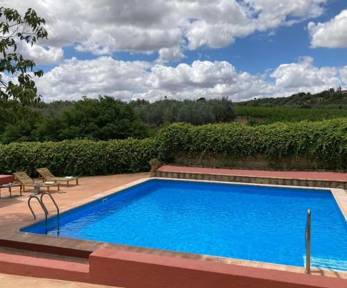 uma piscina num quintal com cadeiras e árvores em Casa Rural Finca Buytrón em Montilla