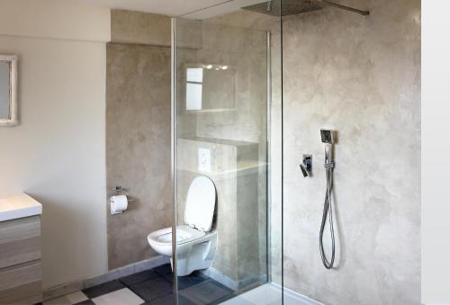 a bathroom with a toilet and a glass shower at VILLA ARVOR CANNES Appartement indépendant en bas de maison in Cannes
