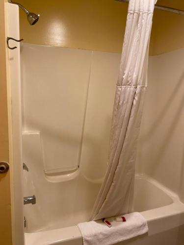 a bathroom with a shower curtain next to a bath tub at Knights Inn & Suites Dublin in Dublin