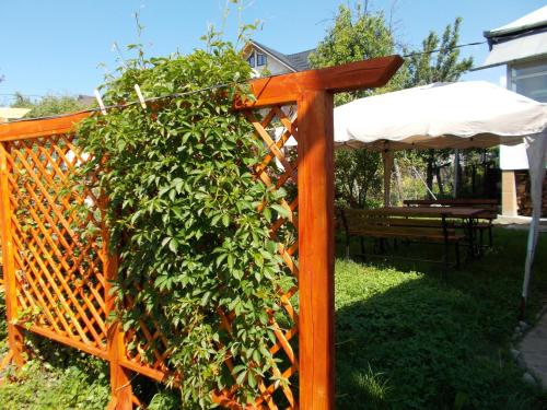 a wooden fence with a large green bush at Pensiunea Vasilescu in Horezu