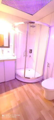 a bathroom with a shower with a toilet and a sink at SnowGoose Group of Houseboats in Srinagar