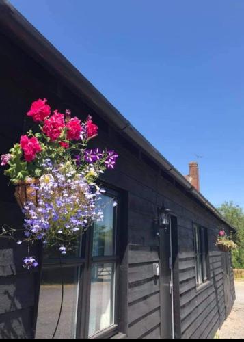 a hanging basket of flowers on the side of a building at Great Sampford B&B Sorrells farm in Hempstead