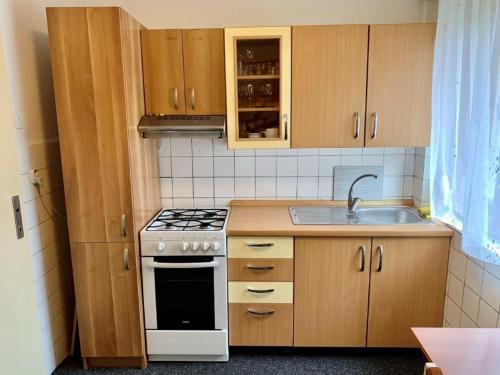 a small kitchen with a stove and a sink at Apartmán Bušín in Busin