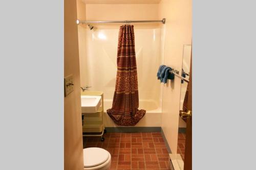 a bathroom with a shower and a toilet and a sink at Olga's Upstairs (Apartment near Cherry Springs State Park) in Coudersport