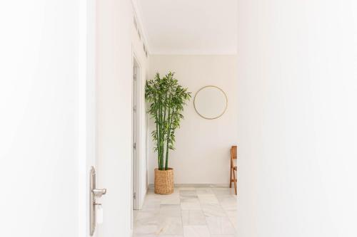 a hallway with a potted plant and a mirror at Hostal El Alférez in El Palmar