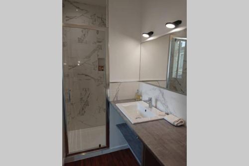 een badkamer met een wastafel en een douche bij appartement 4 pers quartier Chartrons à Bordeaux in Bordeaux