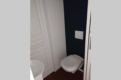 een kleine badkamer met een toilet en een wastafel bij appartement 4 pers quartier Chartrons à Bordeaux in Bordeaux