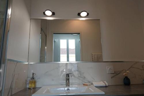 a bathroom with a sink and a large mirror at appartement MONTAIGNE in Bordeaux