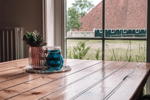 Friese Hoeve Sneek في سنيك: وجود مزهرية على طاولة خشبية مع نافذة