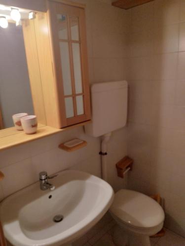 a bathroom with a white toilet and a sink at La casa di Grace nella valle incantantata in Carano
