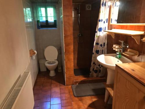 a bathroom with a toilet and a sink and a shower at Chalupa Paseky in Paseky nad Jizerou