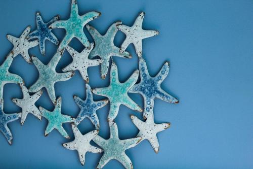 a group of starfish on a blue background at Las Floridas Apartment in Alghero