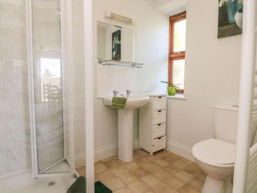 y baño con aseo, lavabo y ducha. en Fosfelle Cottages en Bideford