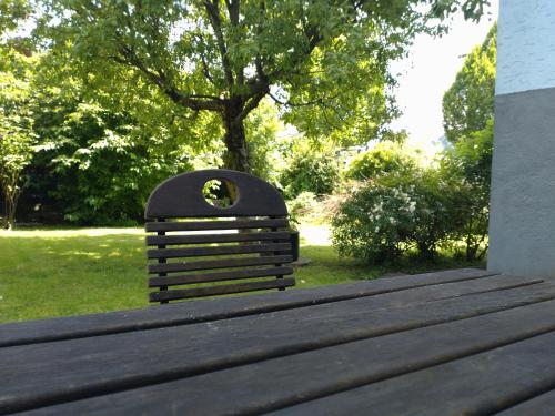 a wooden bench with a hole in the middle of a park at Pension Elisabeth - Rooms & Apartments in Salzburg
