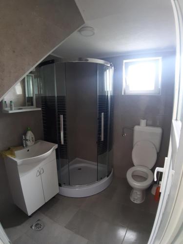 a bathroom with a shower and a toilet and a sink at Ris kuca za odmor in Foča