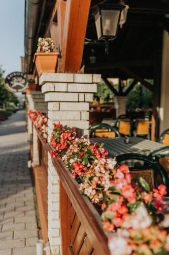 a row of flowers on a wall on a building at Korona Pension and Restaurant in Hévíz