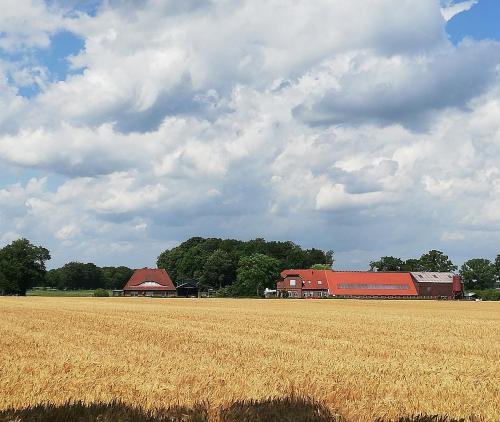 Gallery image of Etzel-Lodge Weideblick in Friedeburg