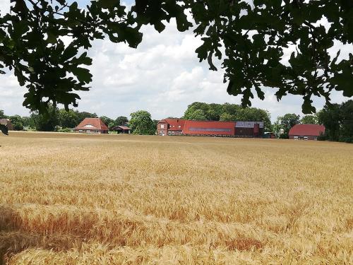 Gallery image of Etzel-Lodge Weideblick in Friedeburg