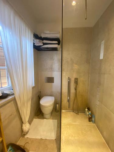 a bathroom with a toilet and a shower with a curtain at Villa St. Georges in Piran