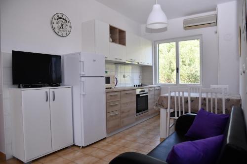 una cocina con electrodomésticos blancos y un sofá en una habitación en Apartmani Zdenka en Banjol