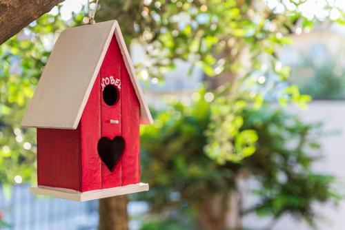 una casa de pájaro rojo colgando de un árbol en Residenza Nobel Appartamenti, en Rímini