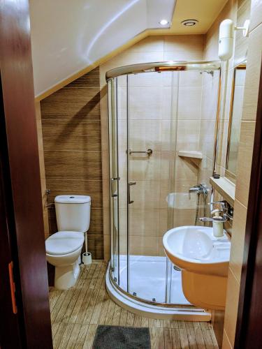 a bathroom with a shower and a toilet and a sink at MDS Wielichowo in Wielichowo