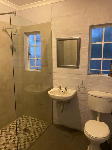 ein Badezimmer mit Toilette, Waschbecken und Dusche in der Unterkunft Die Kothuis in Malelane