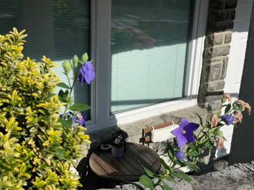 a window with purple flowers on the side of a house at Feels Like Home Apartments in Zagreb