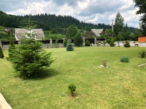a yard with trees and a house in the background at Краєвид in Slavske