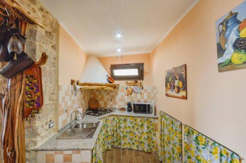 una pequeña cocina con fregadero y encimera en Appartamento vista incantevole Domm'e Orrosaria, en Baunei