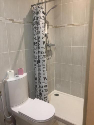 a bathroom with a toilet and a shower curtain at La cremaillère in Huriel
