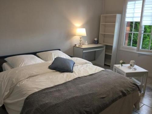 une chambre avec un lit avec un oreiller bleu dessus dans l'établissement Ambiance Seine, appartement sympatique en bord de Seine - Cygne, à Thomery