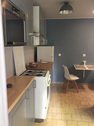 Il comprend une cuisine équipée d'une table et de plaques de cuisson. dans l'établissement Ambiance Seine, appartement sympatique en bord de Seine - Cygne, à Thomery