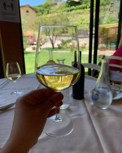 a person holding a glass of white wine on a table at agriturismo il poderetto in Licciana Nardi