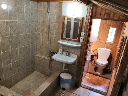 La petite salle de bains est pourvue d'un lavabo et de toilettes. dans l'établissement Cabana Taul Brazilor, à Roşia Montană