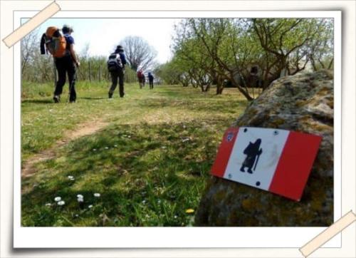 a sign on a rock with people walking in a park at agriturismo il poderetto in Licciana Nardi