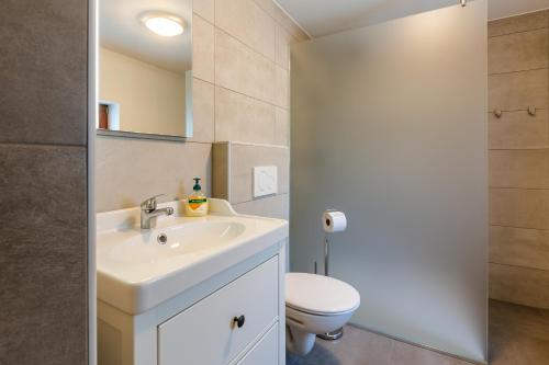 a bathroom with a sink and a toilet at Frida's Old House in Bled