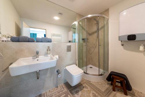 シュトックアッハにあるApartment 9の洗面台、シャワー、トイレ付きのバスルーム
