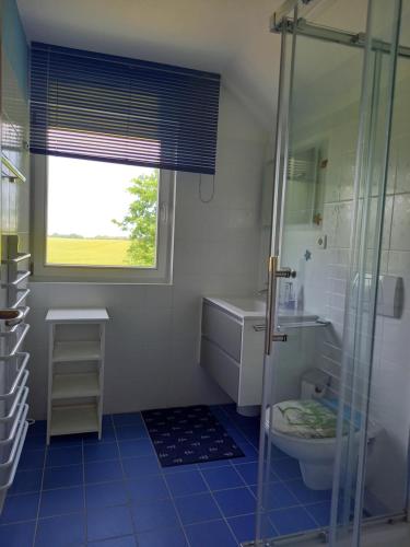 a bathroom with a shower and a toilet and a window at Haus Bernstein in Hohen Schönberg