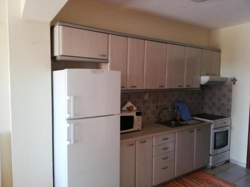 eine Küche mit einem weißen Kühlschrank und einer Mikrowelle in der Unterkunft Corner house in Leptokaryá