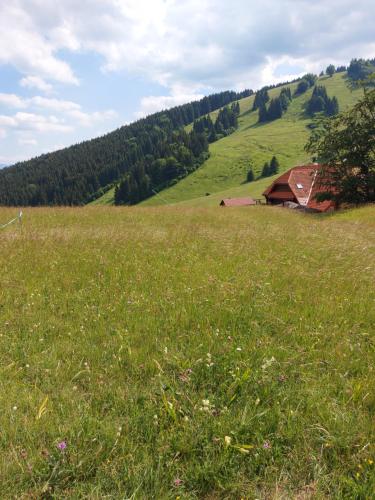 a field of green grass with a barn in the background at Chata u sovicky Malino Brdo in Ružomberok
