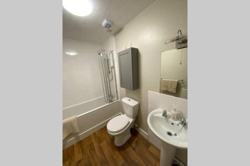 a bathroom with a toilet and a sink at Stylish Loft Apartment in central Perth in Perth