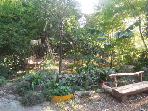 a garden with a bench and some plants and trees at Robinson Crusoe in Lagodekhi