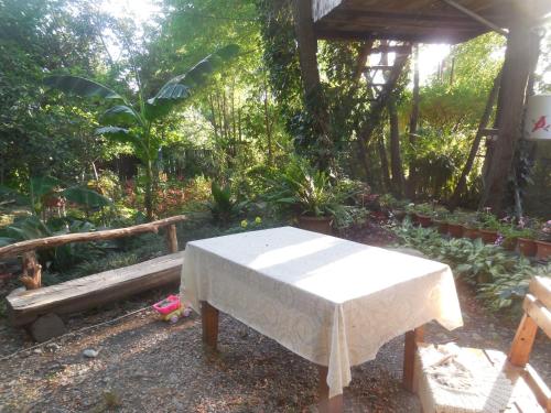 a white table sitting in the middle of a garden at Robinson Crusoe in Lagodekhi