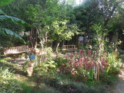 a garden with a bench and some plants and trees at Robinson Crusoe in Lagodekhi