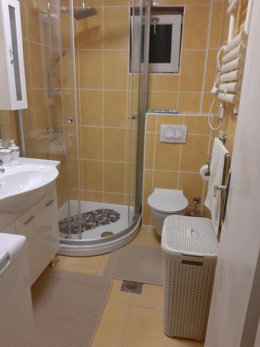 a bathroom with a shower and a toilet and a sink at Apartmani Ivona in Budva