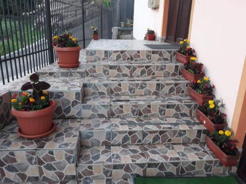 a stone walkway with potted plants and flowers at Pensiunea IO-MARA in Vatra Dornei