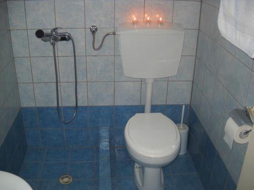 a bathroom with a toilet and a shower with candles at Magdalini in Votsi