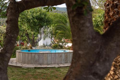 una piscina en un jardín con cascada en Hotel Ainareti en Kala Nera